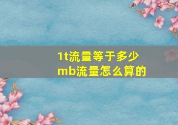 1t流量等于多少mb流量怎么算的