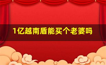 1亿越南盾能买个老婆吗