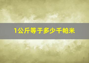 1公斤等于多少千帕米