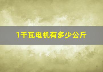 1千瓦电机有多少公斤