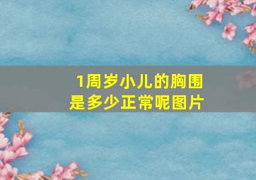 1周岁小儿的胸围是多少正常呢图片