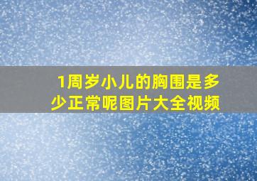 1周岁小儿的胸围是多少正常呢图片大全视频