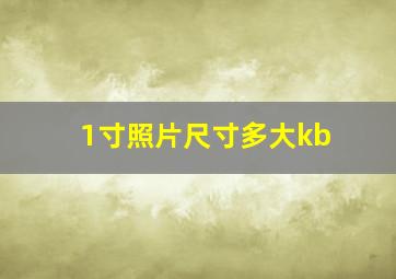 1寸照片尺寸多大kb