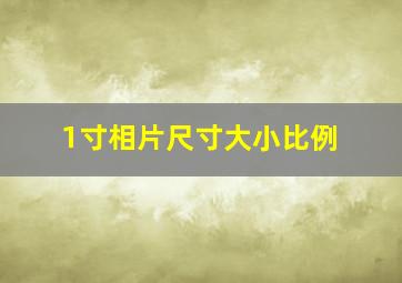 1寸相片尺寸大小比例