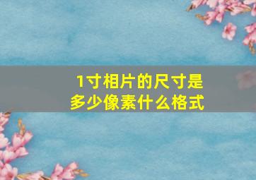 1寸相片的尺寸是多少像素什么格式