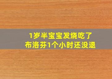 1岁半宝宝发烧吃了布洛芬1个小时还没退