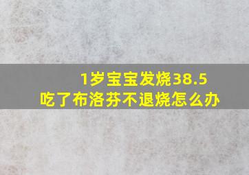 1岁宝宝发烧38.5吃了布洛芬不退烧怎么办