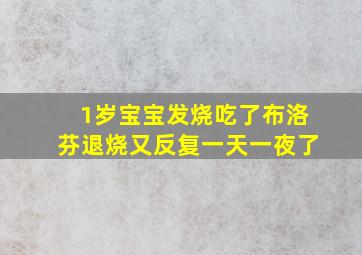 1岁宝宝发烧吃了布洛芬退烧又反复一天一夜了