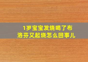 1岁宝宝发烧喝了布洛芬又起烧怎么回事儿