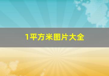 1平方米图片大全