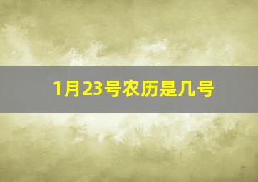 1月23号农历是几号