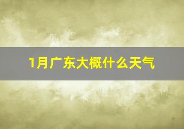 1月广东大概什么天气