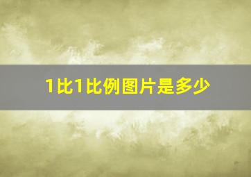 1比1比例图片是多少