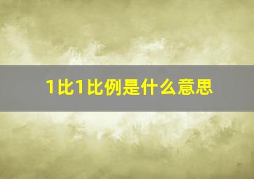 1比1比例是什么意思