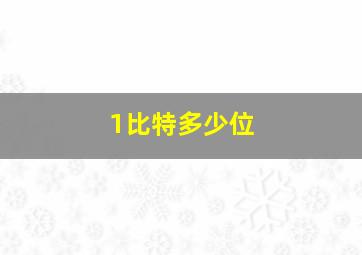 1比特多少位