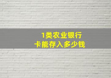 1类农业银行卡能存入多少钱