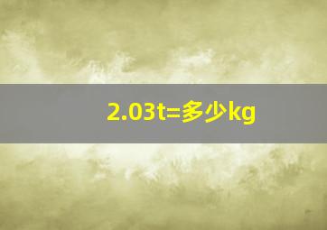 2.03t=多少kg