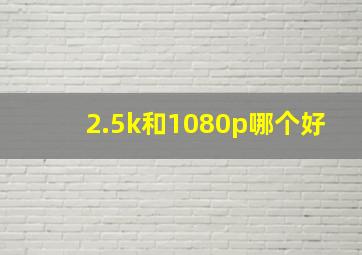 2.5k和1080p哪个好