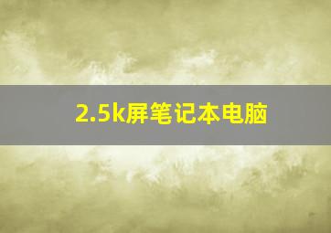 2.5k屏笔记本电脑