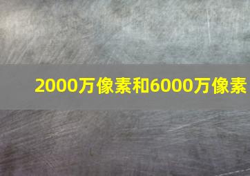 2000万像素和6000万像素