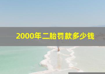 2000年二胎罚款多少钱