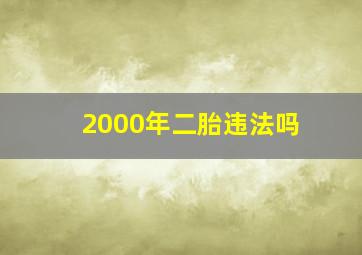 2000年二胎违法吗