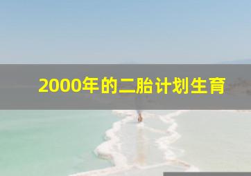 2000年的二胎计划生育