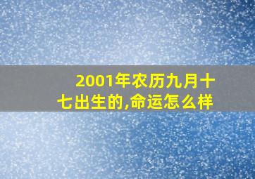 2001年农历九月十七出生的,命运怎么样