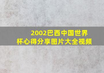 2002巴西中国世界杯心得分享图片大全视频