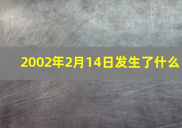 2002年2月14日发生了什么