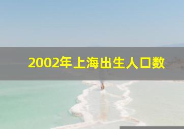 2002年上海出生人口数