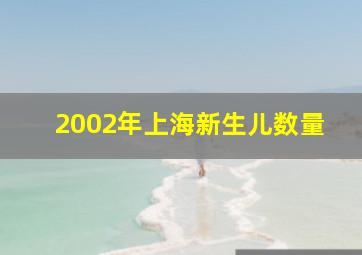 2002年上海新生儿数量