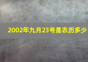 2002年九月23号是农历多少