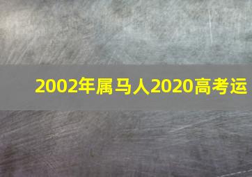 2002年属马人2020高考运