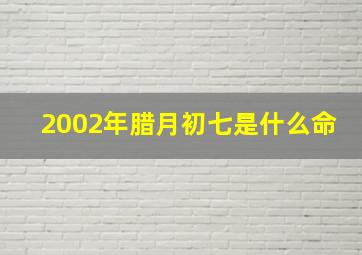 2002年腊月初七是什么命