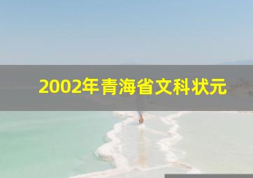 2002年青海省文科状元