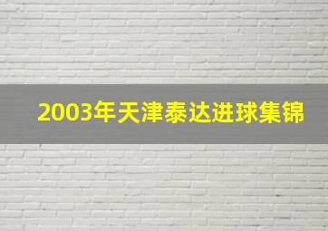 2003年天津泰达进球集锦