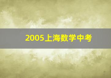 2005上海数学中考