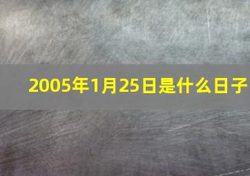 2005年1月25日是什么日子