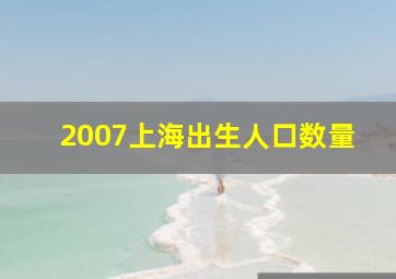 2007上海出生人口数量