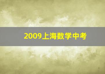 2009上海数学中考