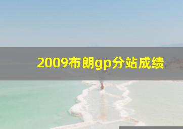 2009布朗gp分站成绩