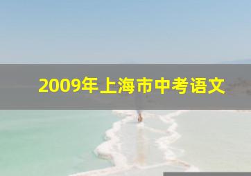 2009年上海市中考语文