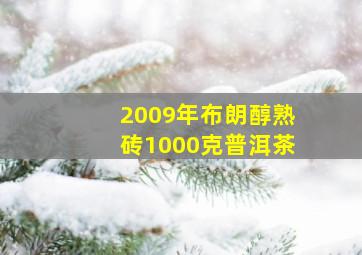 2009年布朗醇熟砖1000克普洱茶