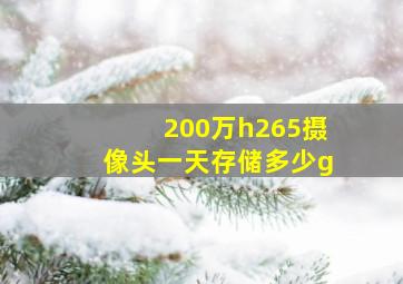 200万h265摄像头一天存储多少g