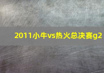 2011小牛vs热火总决赛g2