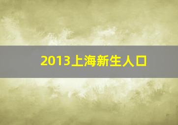 2013上海新生人口