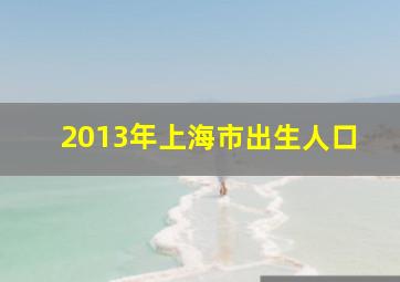 2013年上海市出生人口