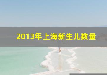 2013年上海新生儿数量