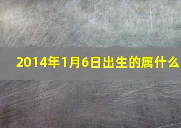 2014年1月6日出生的属什么